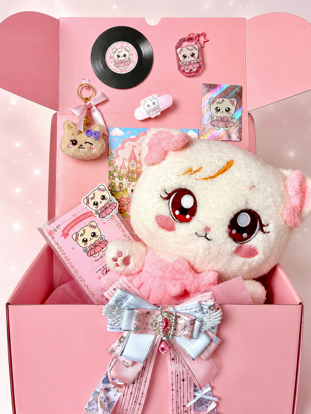 Blackpink Character Plush Gift Set! Kpop Mystery Blind Box!