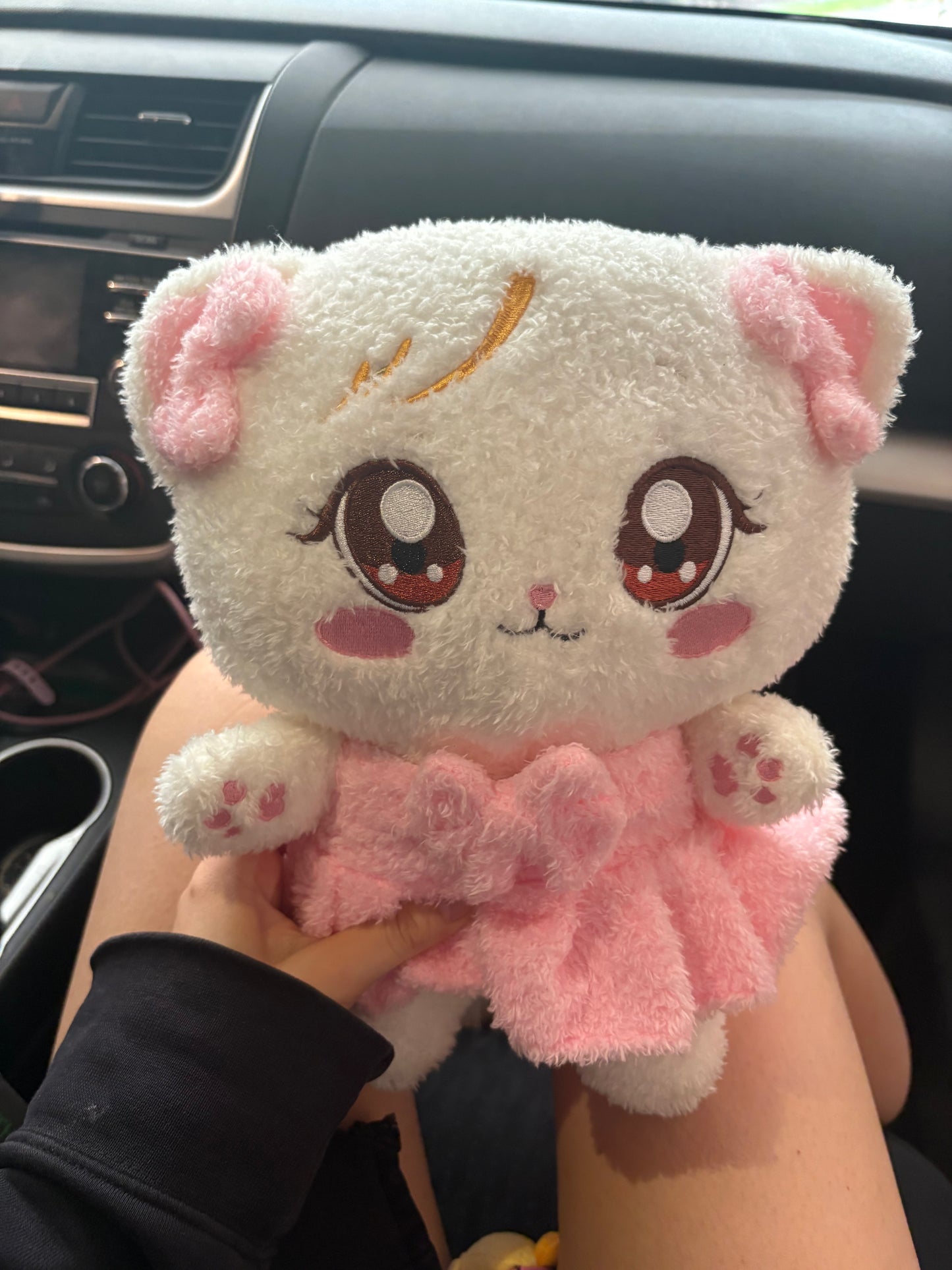 Black Pink Plushie Keychain Premium Gift Set! Kpop Mystery Blind Box!