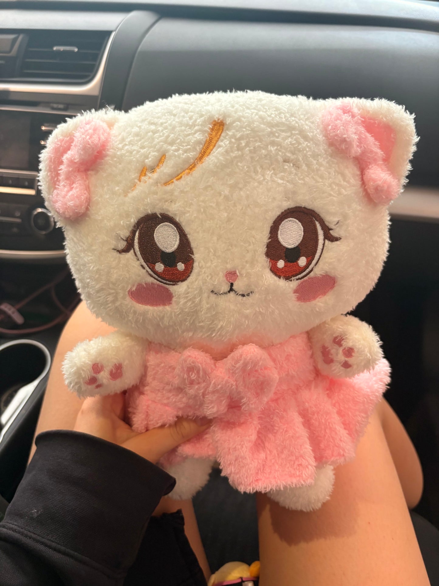 Black Pink Plushie Keychain Premium Gift Set! Kpop Mystery Blind Box!
