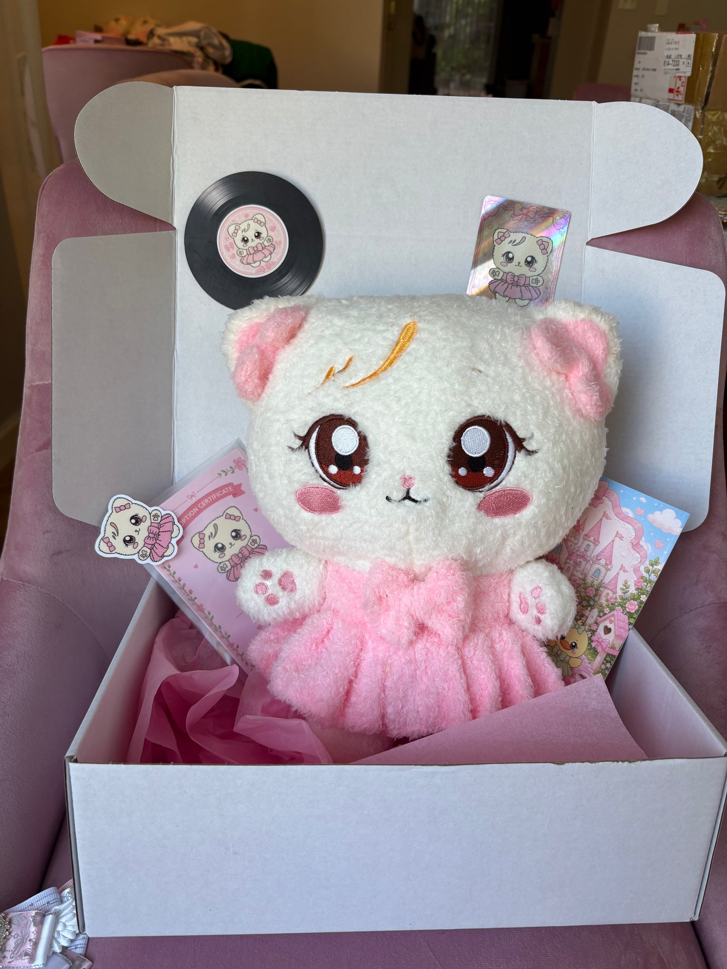 Blackpink Character Plush Gift Set! Kpop Mystery Blind Box!