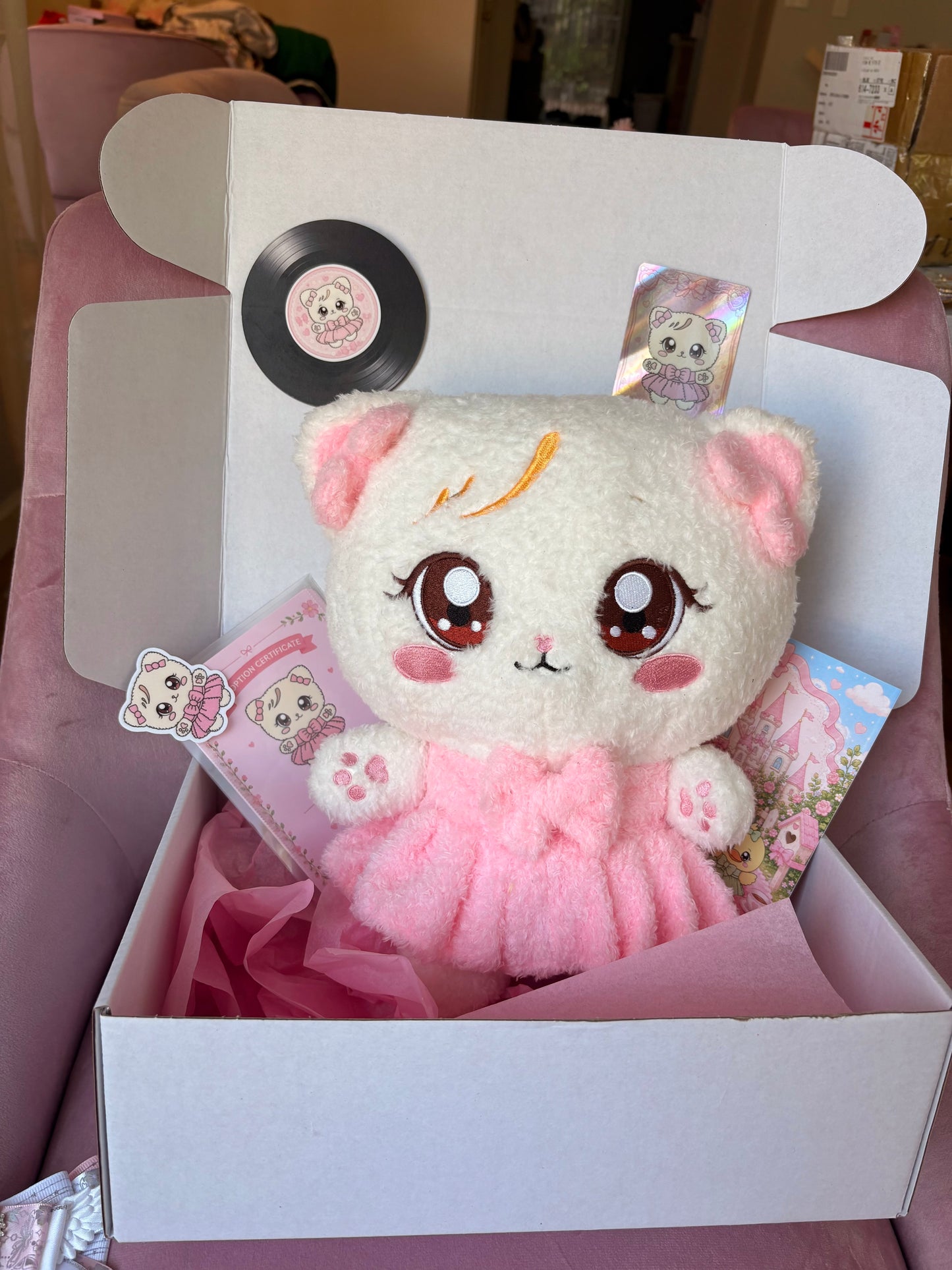 Blackpink Character Plush Gift Set! Kpop Mystery Blind Box!