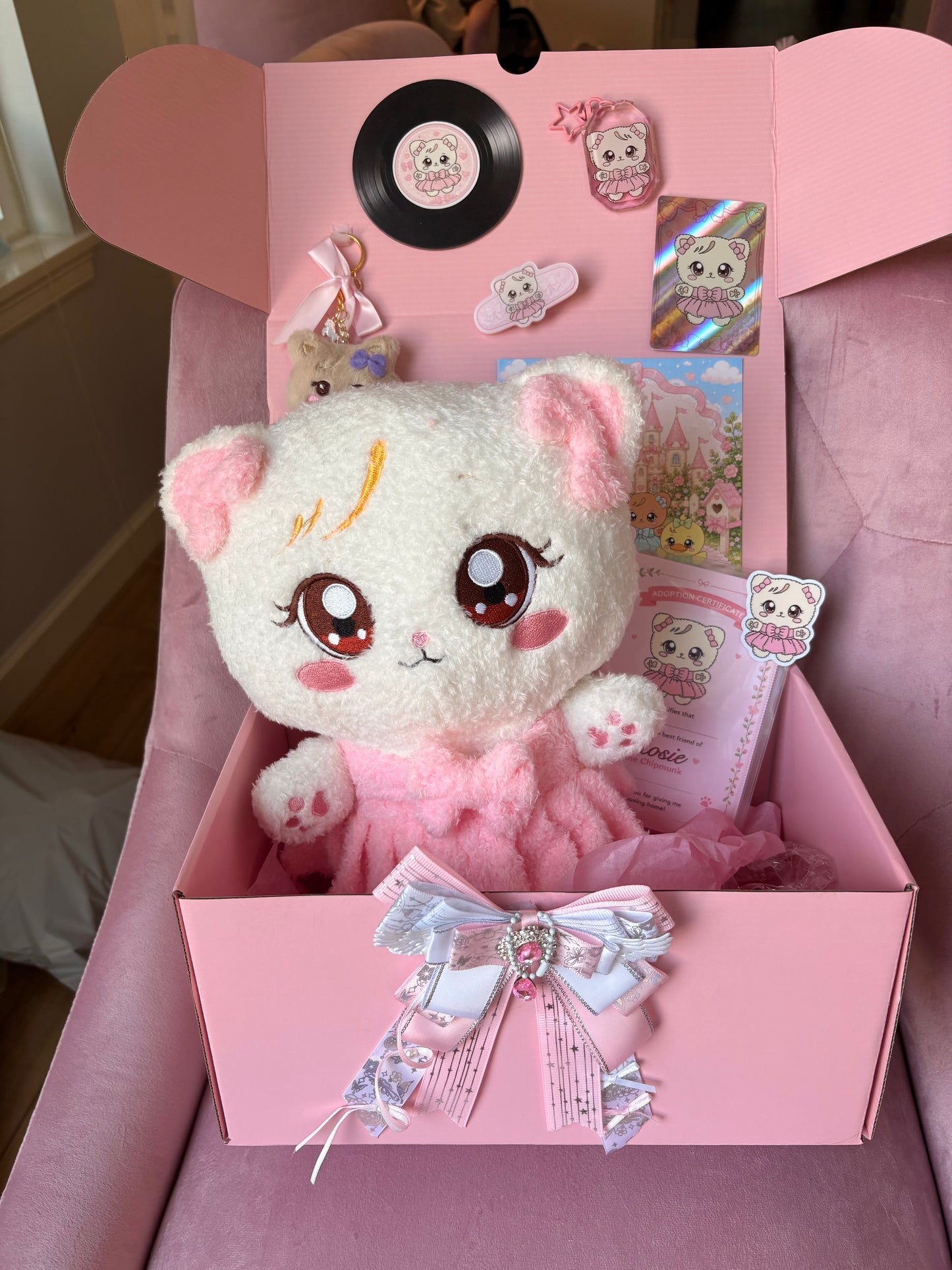 Blackpink Character Plush Gift Set! Kpop Mystery Blind Box!