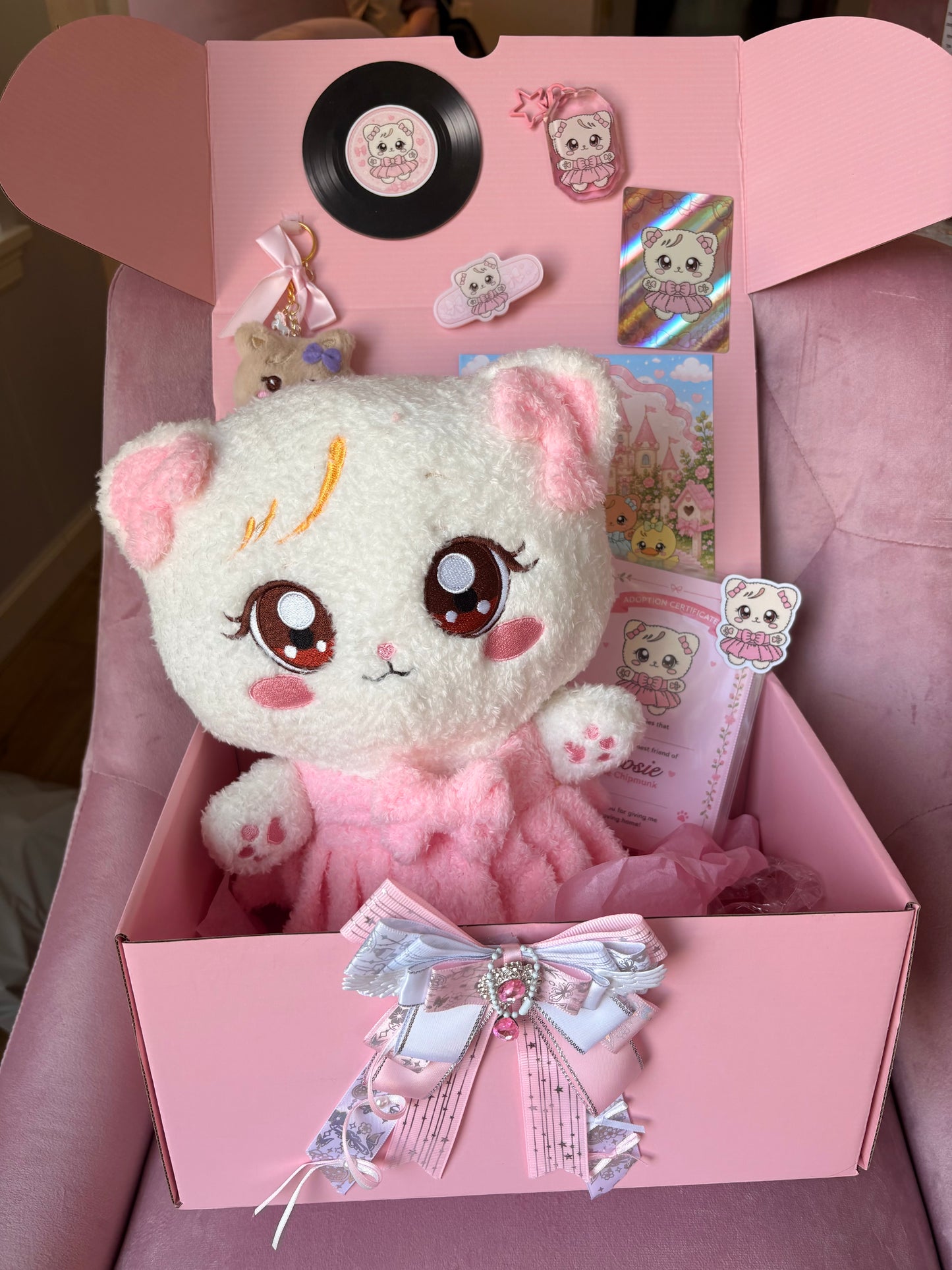 Blackpink Character Plush Gift Set! Kpop Mystery Blind Box!