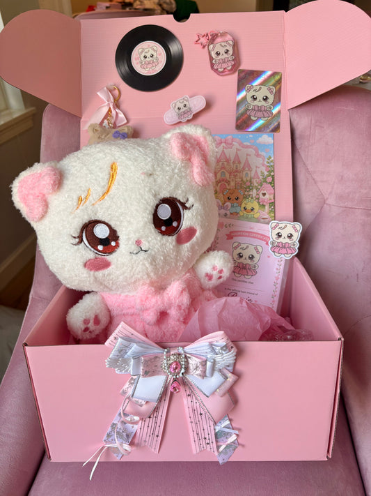Blackpink Character Plush Gift Set! Kpop Mystery Blind Box!