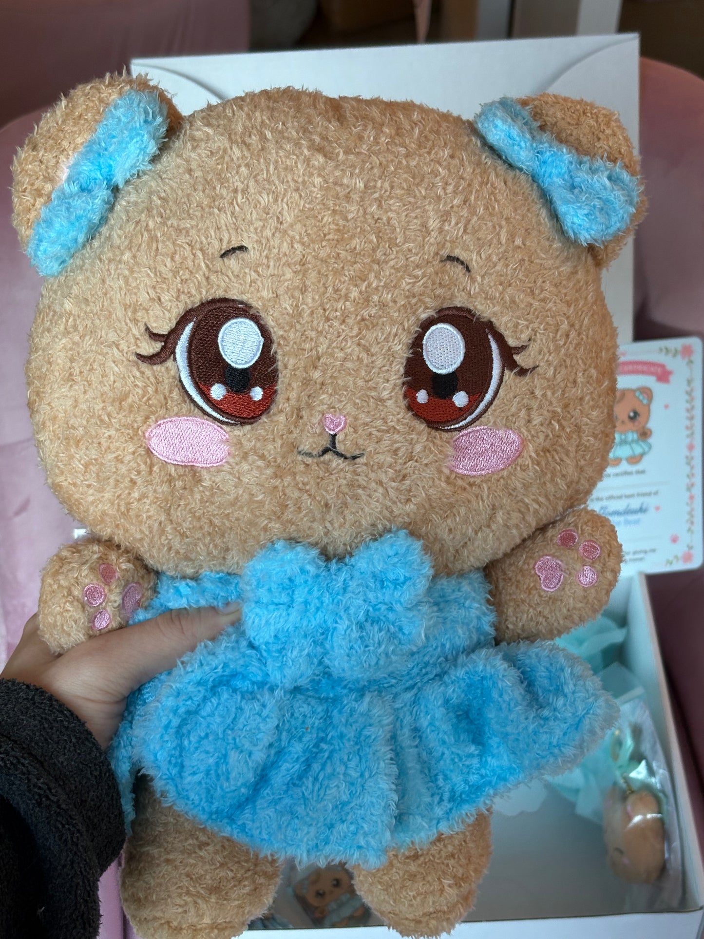 Blackpink JENNIE Gomdeuki Character Plush Gift Set! Kpop Mystery Blind Box!